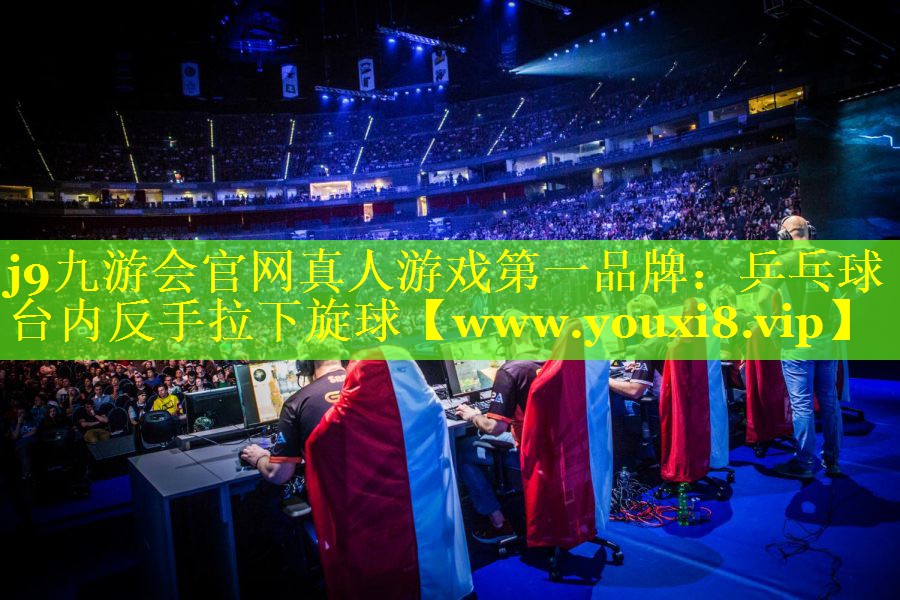 乒乓球台内反手拉下旋球