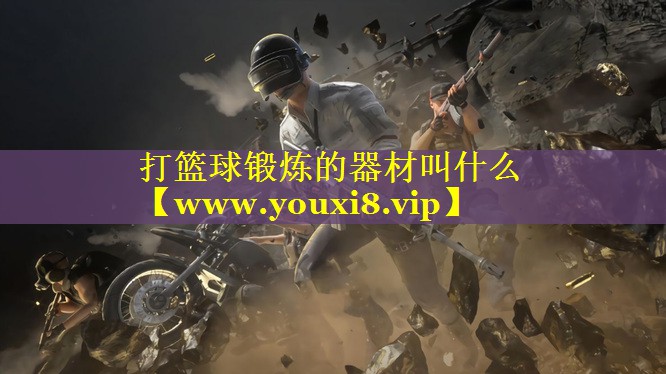 打篮球锻炼的器材叫什么