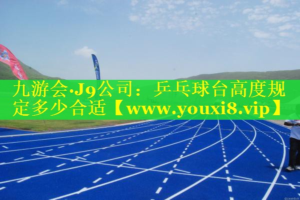 乒乓球台高度规定多少合适