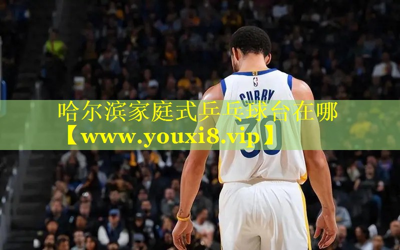 哈尔滨家庭式乒乓球台在哪