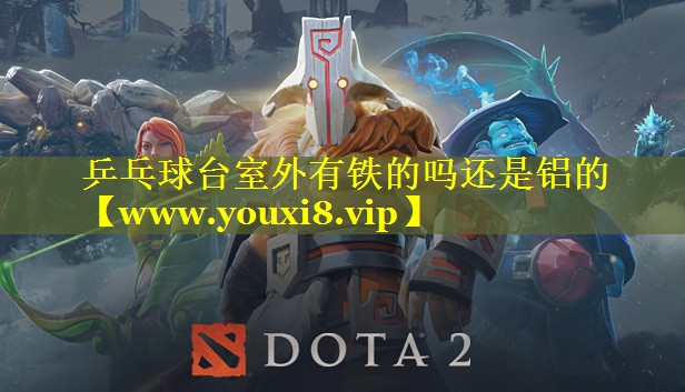 乒乓球台室外有铁的吗还是铝的