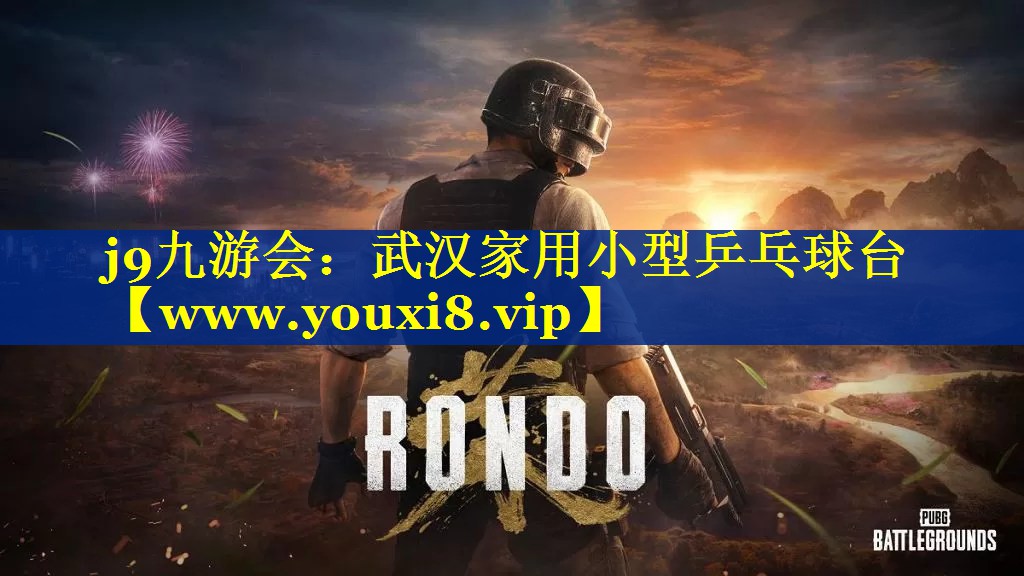 武汉家用小型乒乓球台