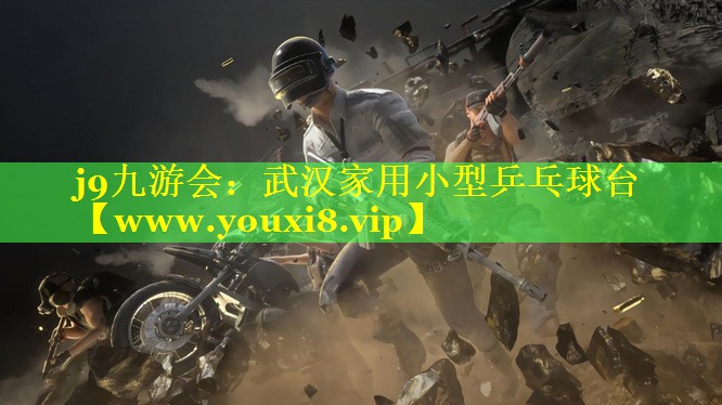 武汉家用小型乒乓球台