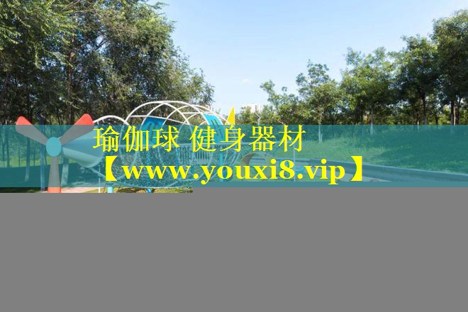 瑜伽球 健身器材