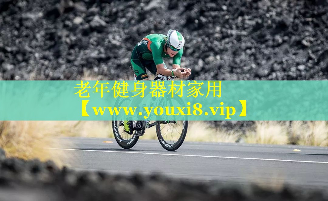 老年健身器材家用