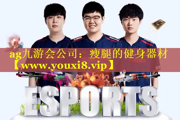 瘦腿的健身器材