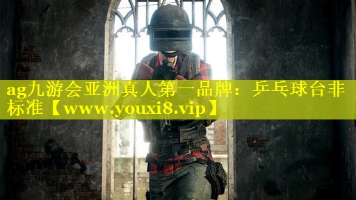 乒乓球台非标准 乒乓球台非标准