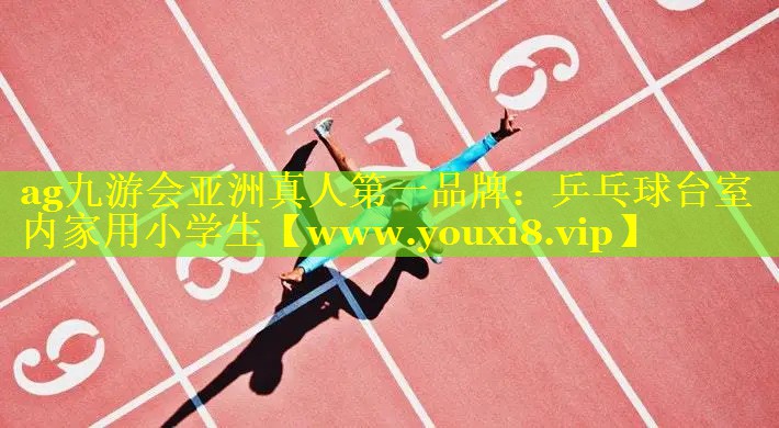 乒乓球台室内家用小学生