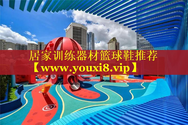 居家训练器材篮球鞋推荐