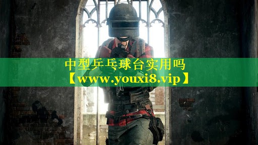 中型乒乓球台实用吗