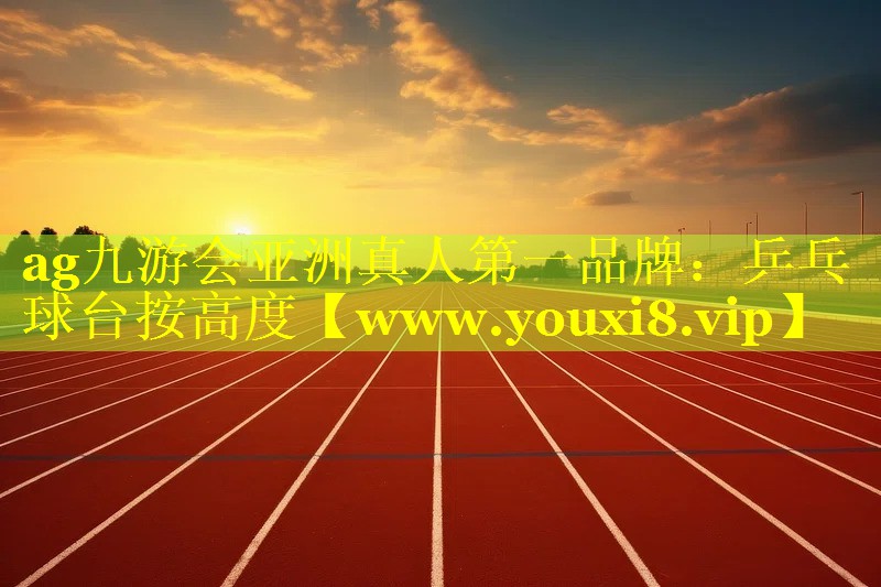 乒乓球台按高度